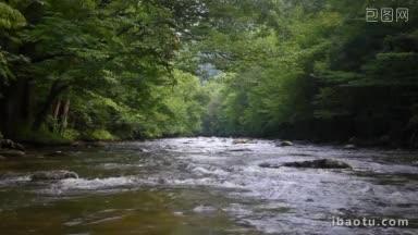 风景秀丽的河流穿过森林，在烟雾缭绕的山峦中射出了河中央的水